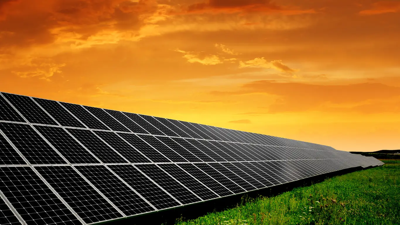 Rows of solar panels across a green field at sunset